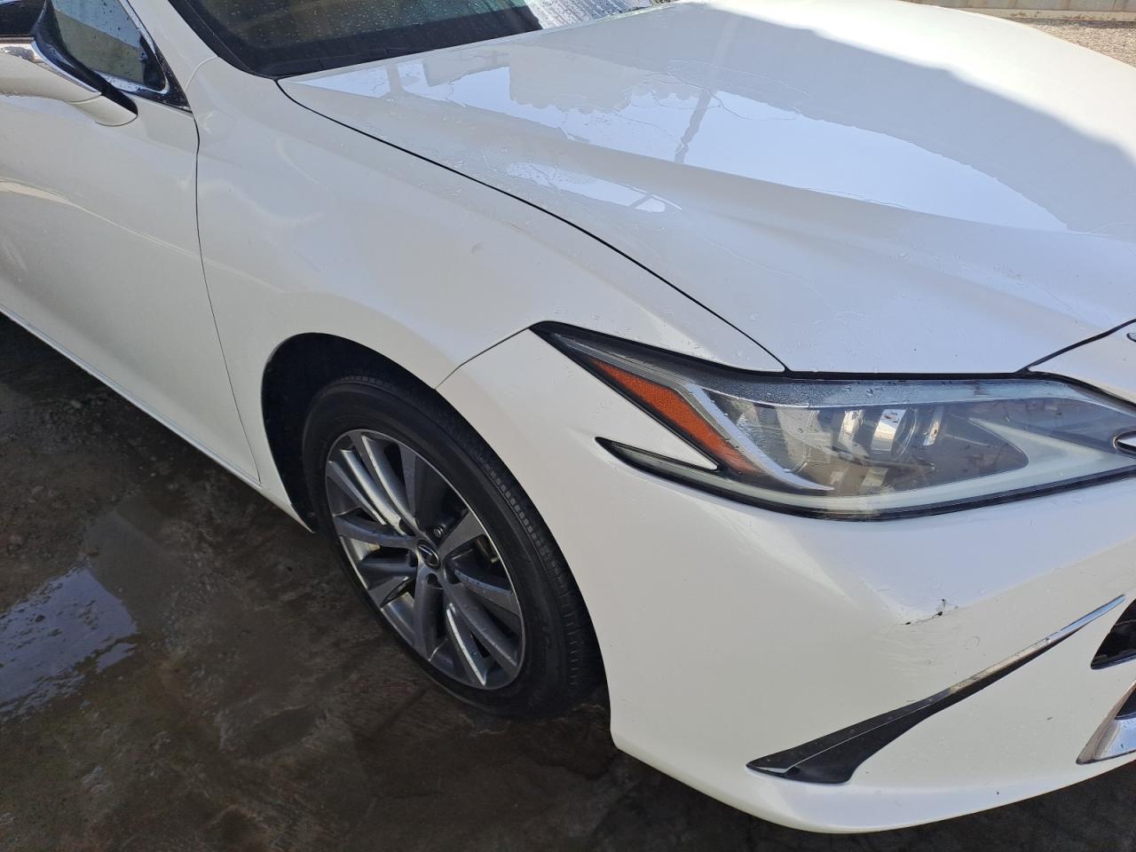 JTHB21B13K2048631 - 2019 Lexus ES 300 - #43291965