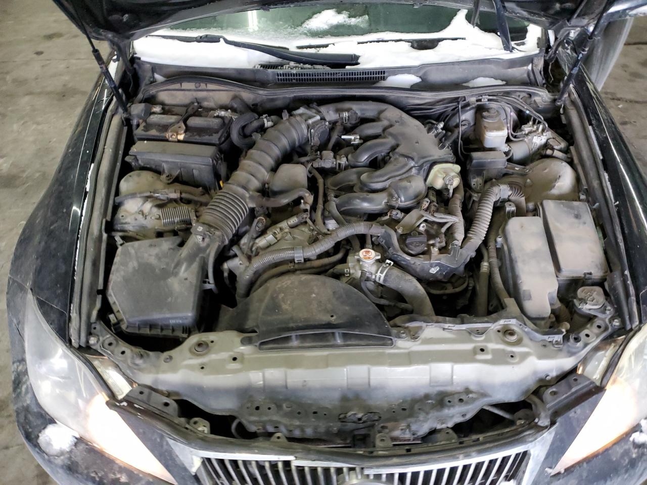 2010 Lexus IS - Image 12