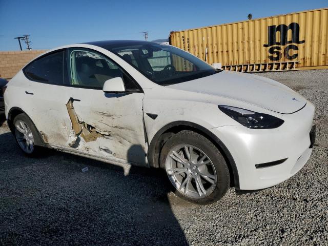  TESLA MODEL Y 2023 Белы