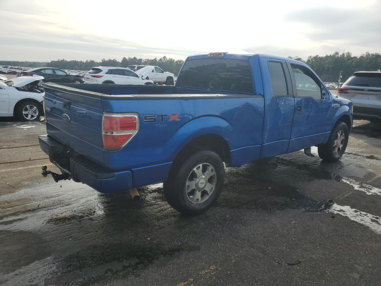 2010 Ford F-150 - Image 3