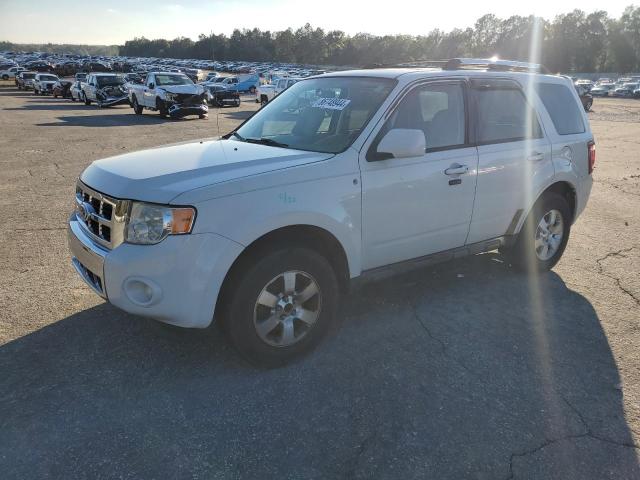 2010 Ford Escape Limited