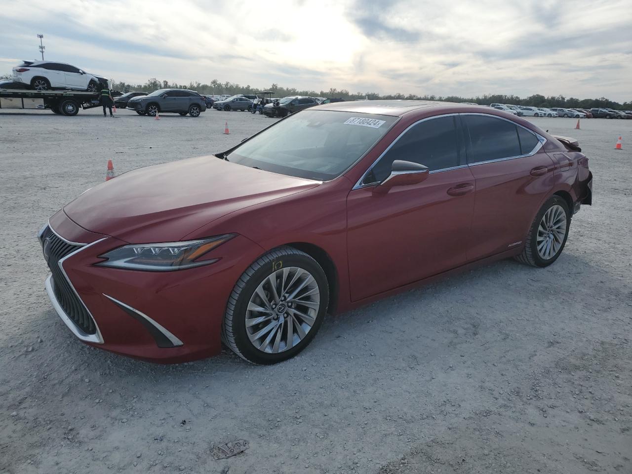 2019 LEXUS ES300