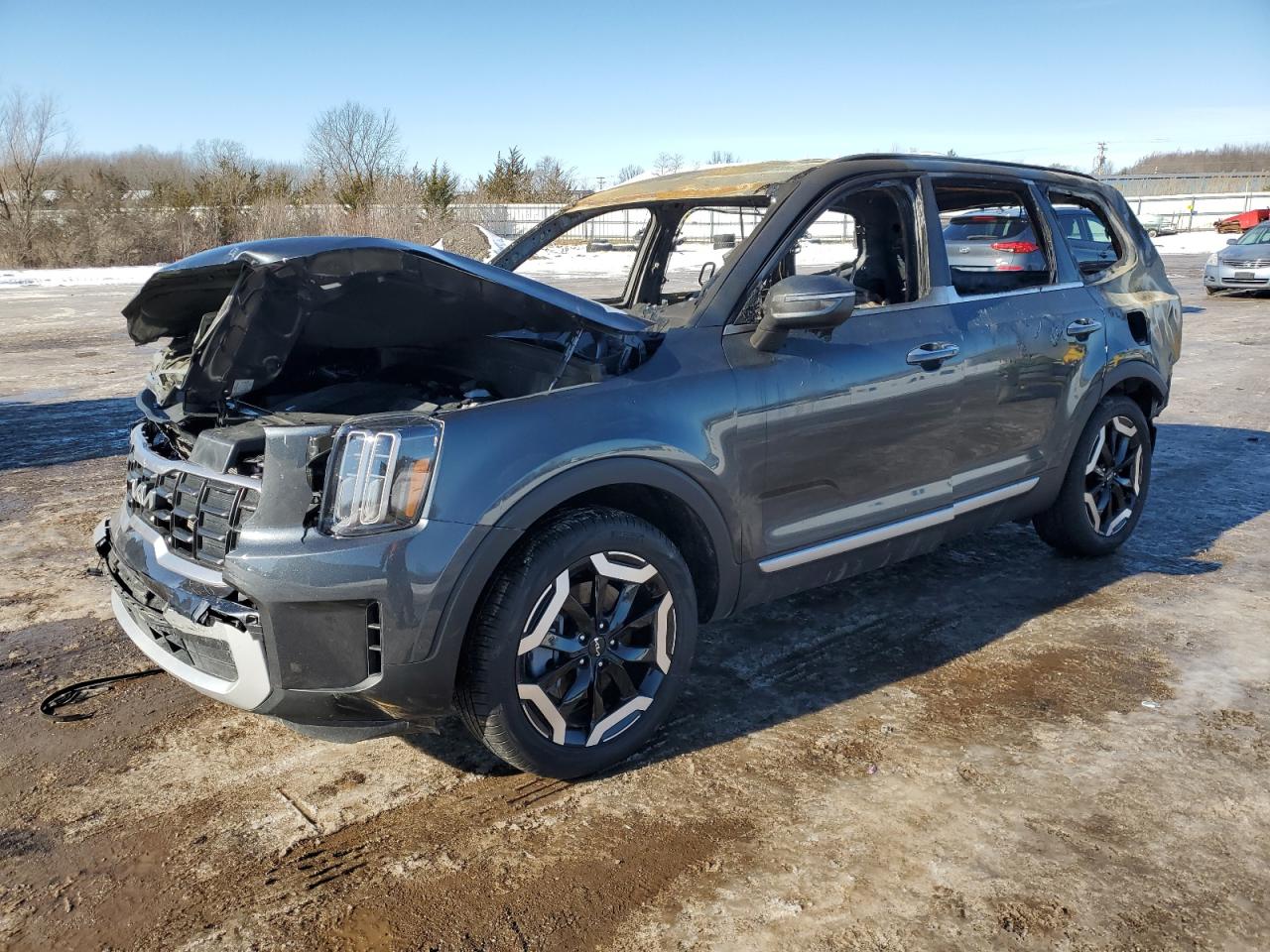 2024 Kia Telluride - Image 1