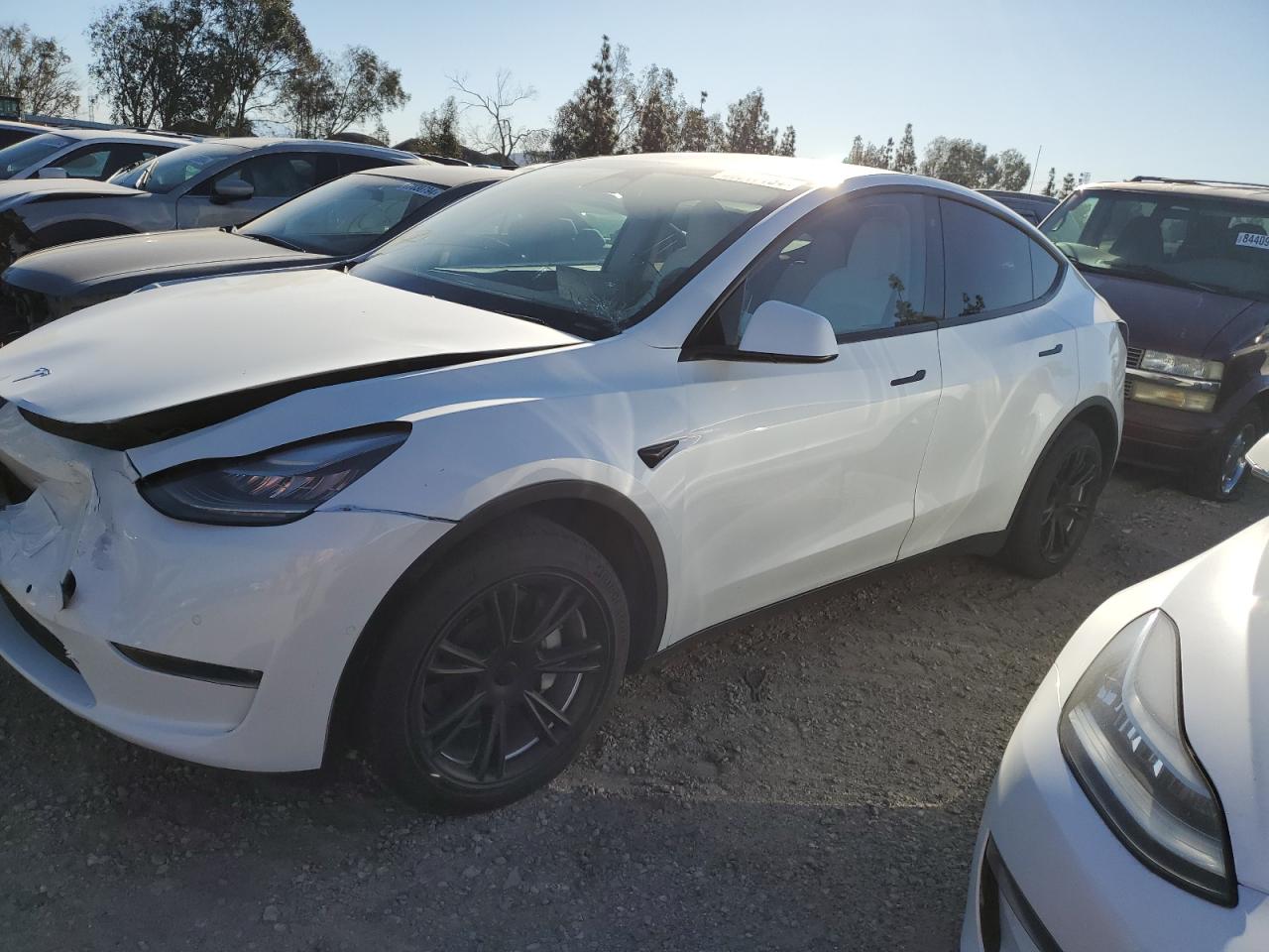 VIN 5YJYGDEE5LF023273 2020 TESLA MODEL Y no.1