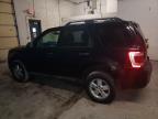 2012 Ford Escape Xlt للبيع في Northfield، OH - Front End