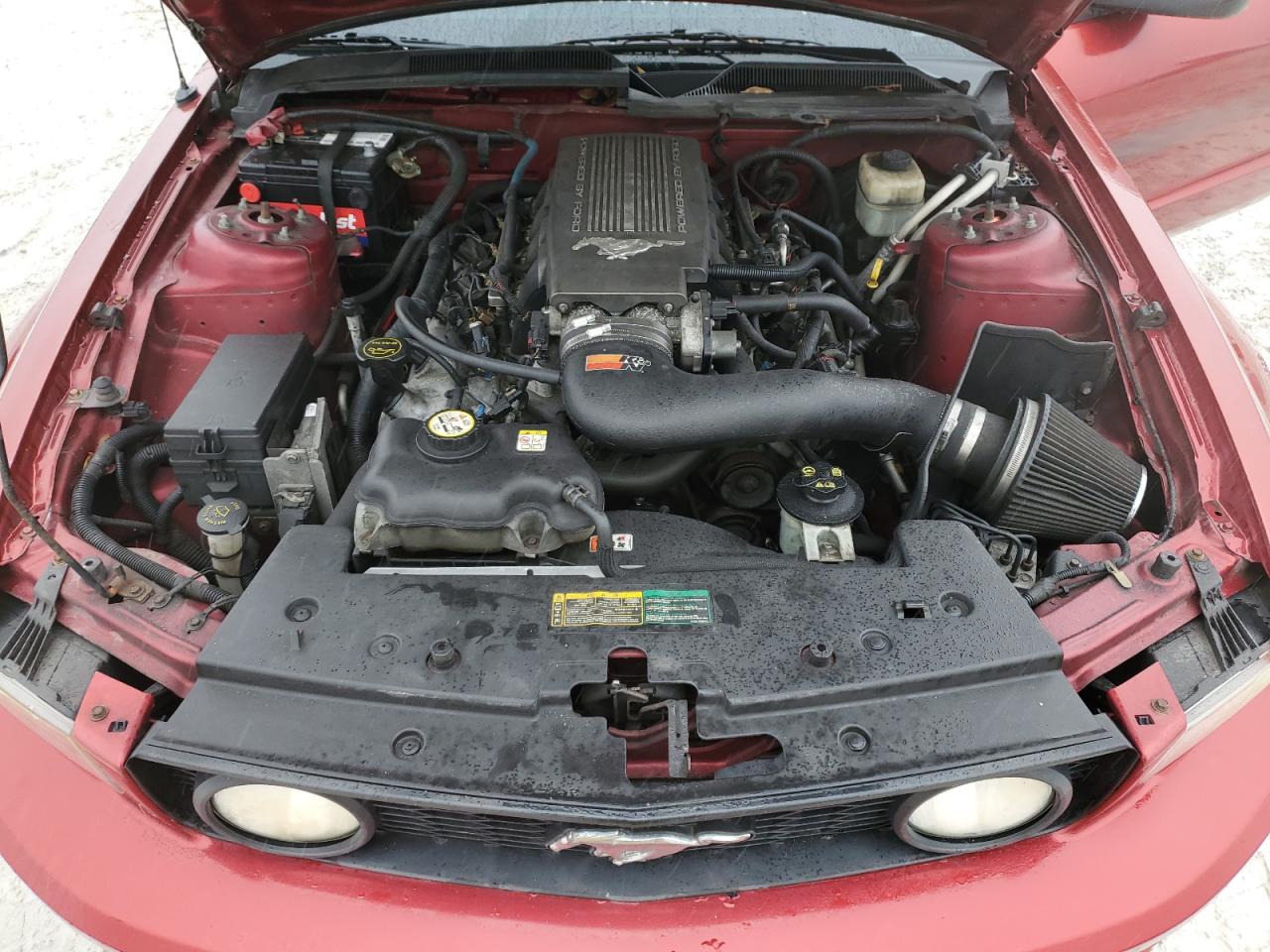 2007 Ford Mustang Gt VIN: 1ZVFT82H175227257 Lot: 42344225