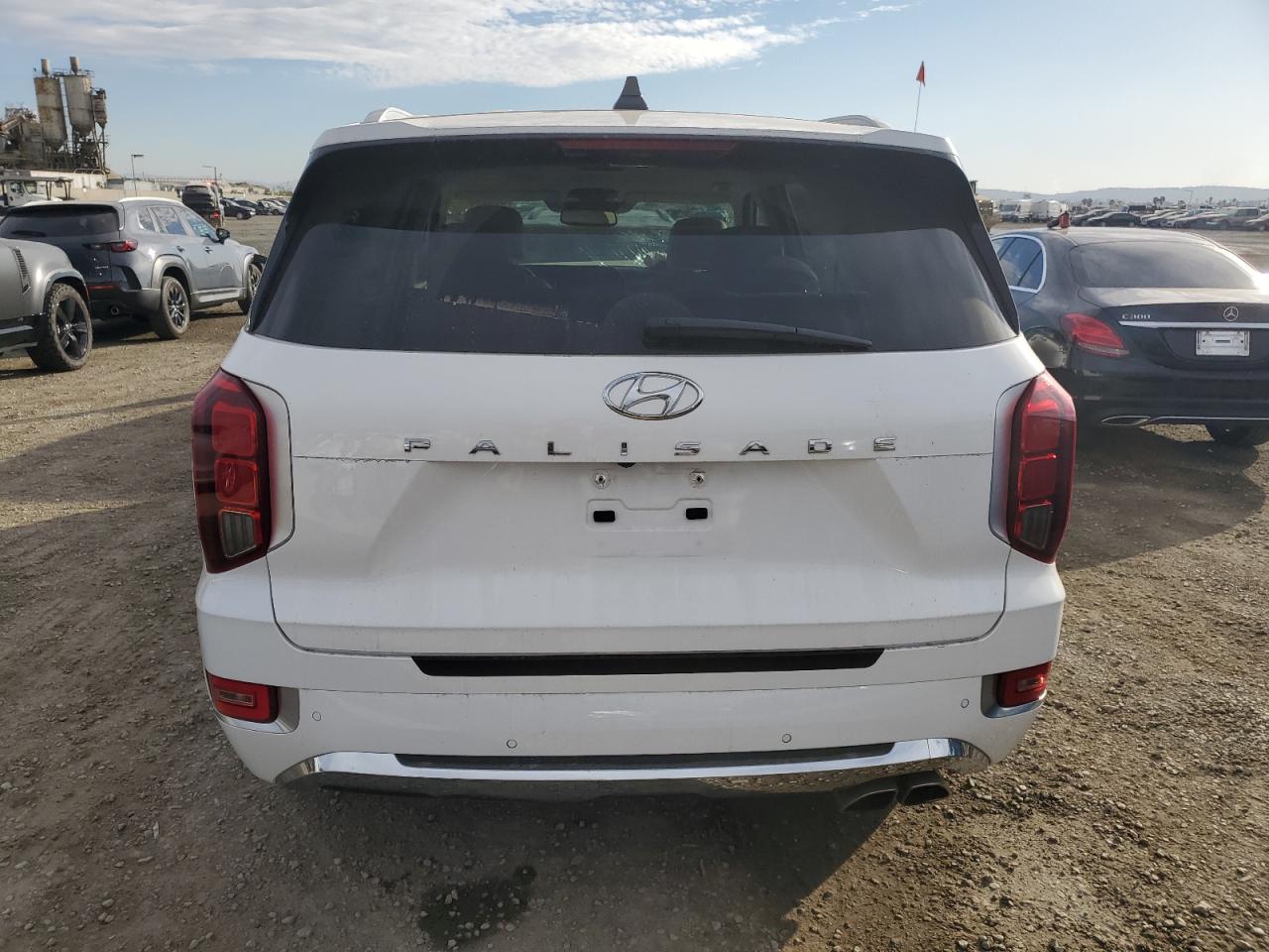 VIN KM8R54HE9LU147023 2020 HYUNDAI PALISADE no.6