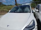 2021 Tesla Model Y  for Sale in Kapolei, HI - Front End