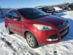 2015 Ford Escape Titanium на продаже в Cahokia Heights, IL - Minor Dent/Scratches