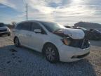 2014 Honda Odyssey Exl zu verkaufen in Taylor, TX - Front End