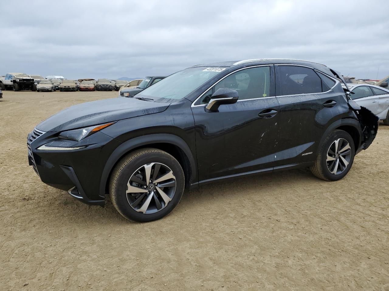 2019 Lexus NX - Image 1