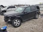 2012 Ford Escape Limited للبيع في Lawrenceburg، KY - Front End