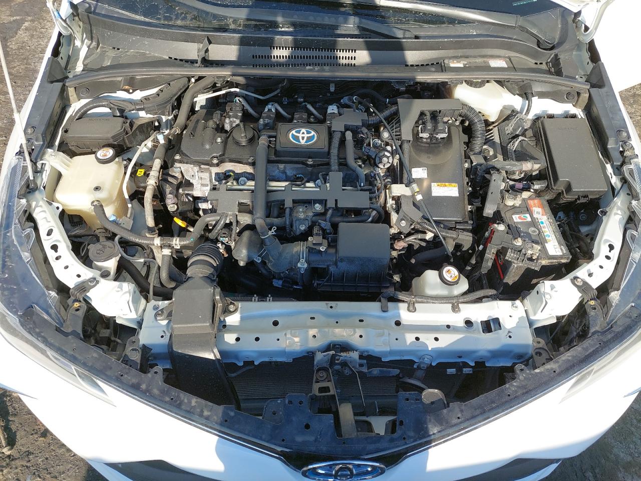 RKLBA0BE0M1003207 - 2021 Toyota Corolla - #41544245