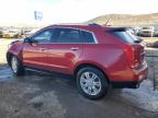 2012 Cadillac Srx Luxury Collection na sprzedaż w Albuquerque, NM - Front End