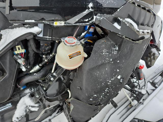 2023 SKIDOO FREERIDE