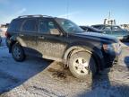 2011 FORD ESCAPE XLT à vendre chez Copart AB - CALGARY