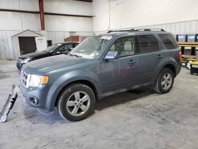 2010 Ford Escape Limited