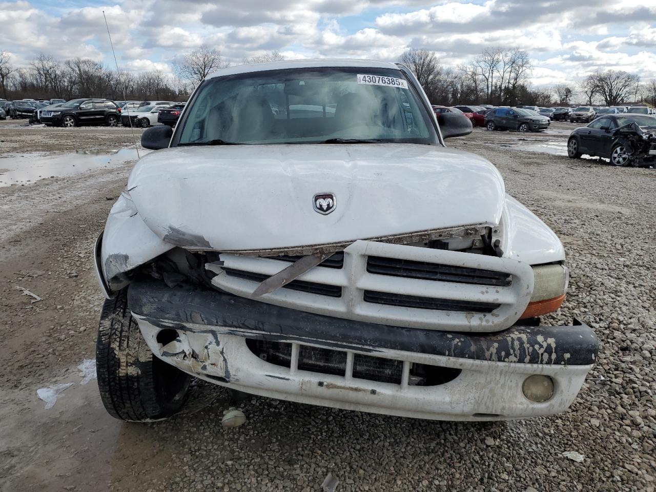2002 Dodge Dakota - Image 5