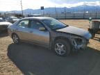 2005 Honda Accord Hybrid de vânzare în Colorado Springs, CO - Front End