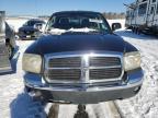 2005 Dodge Dakota Quad Slt продається в Assonet, MA - Normal Wear