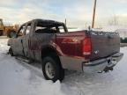 2004 Ford F250 Super Duty zu verkaufen in Anchorage, AK - Burn