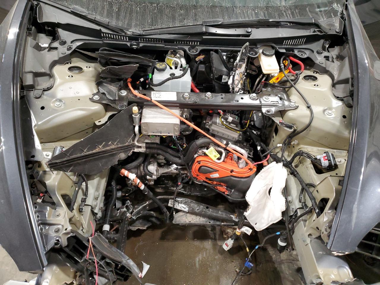 2024 Tesla Model 3 VIN: 5YJ3E1EA0RF771496 Lot: 86555984