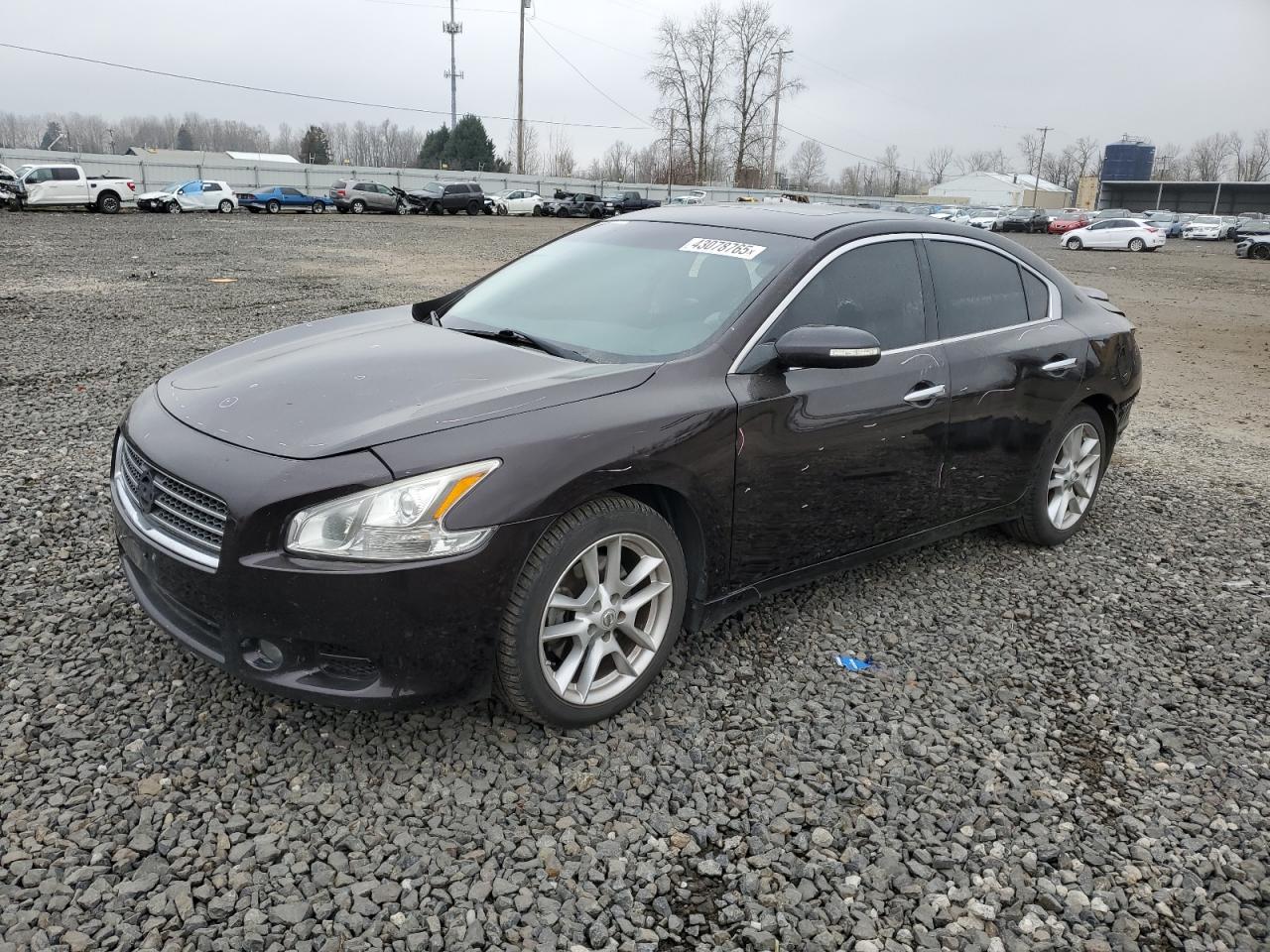 2010 Nissan Maxima - Image 1