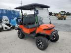 2024 Dena E Golf Car for Sale in Riverview, FL - Water/Flood