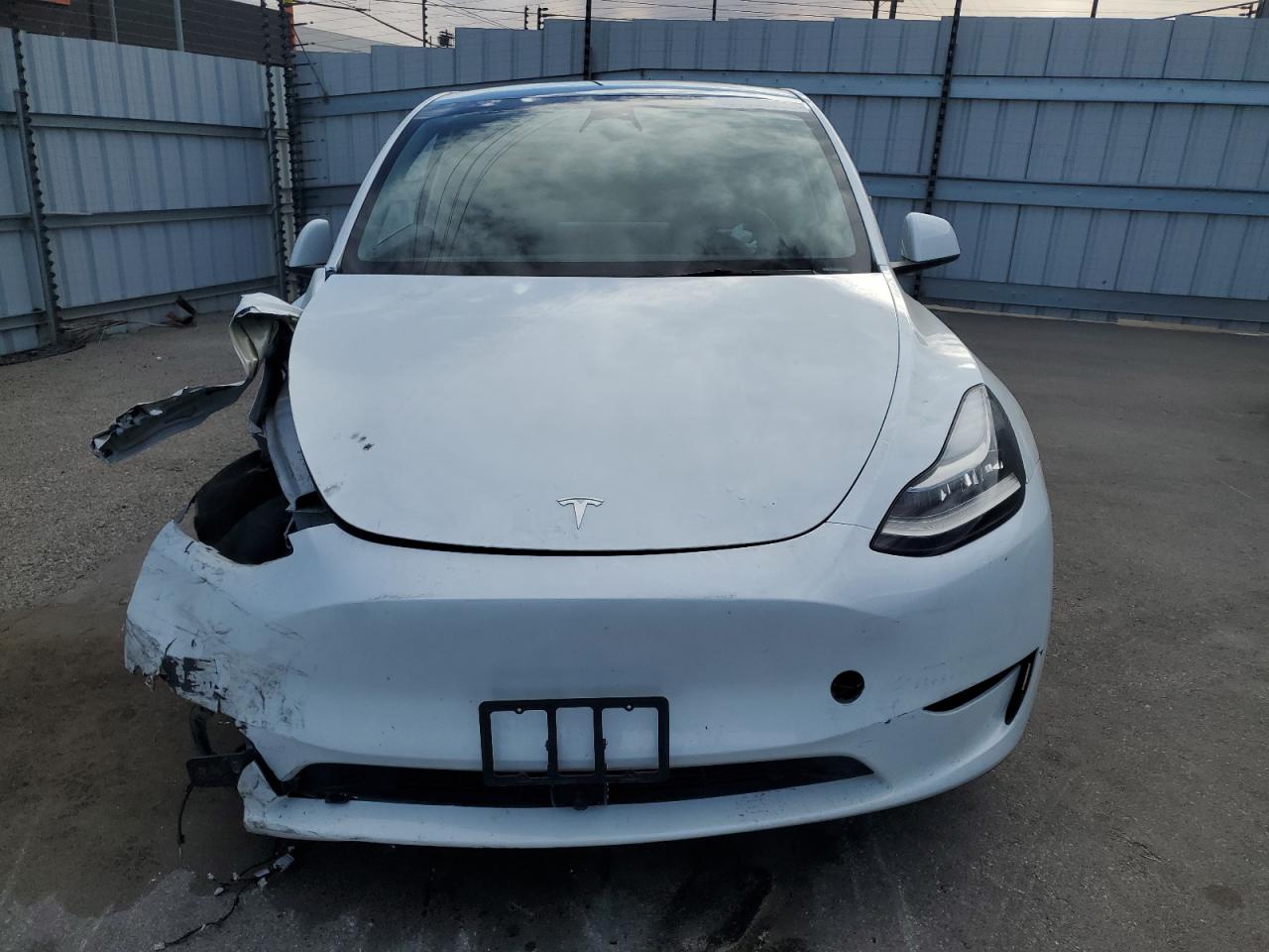 VIN 7SAYGDEE8PA026562 2023 TESLA MODEL Y no.5