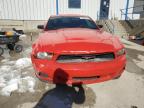 2011 Ford Mustang  للبيع في Lawrenceburg، KY - Front End