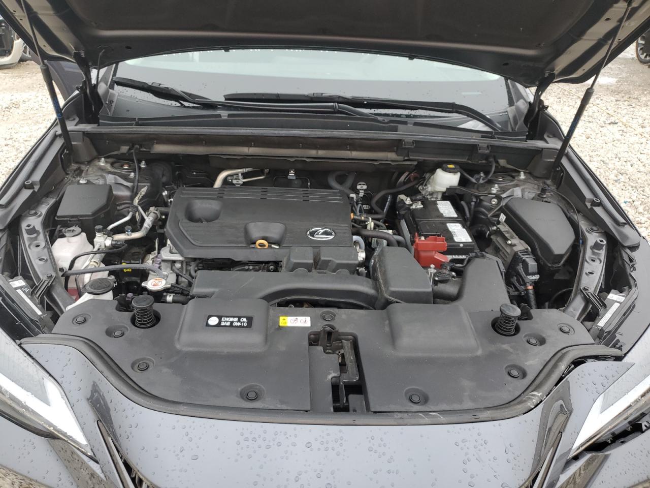 2024 Lexus NX - Image 11