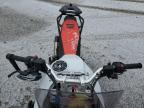 2023 Ducati Desert X  for Sale in Marlboro, NY - Front End