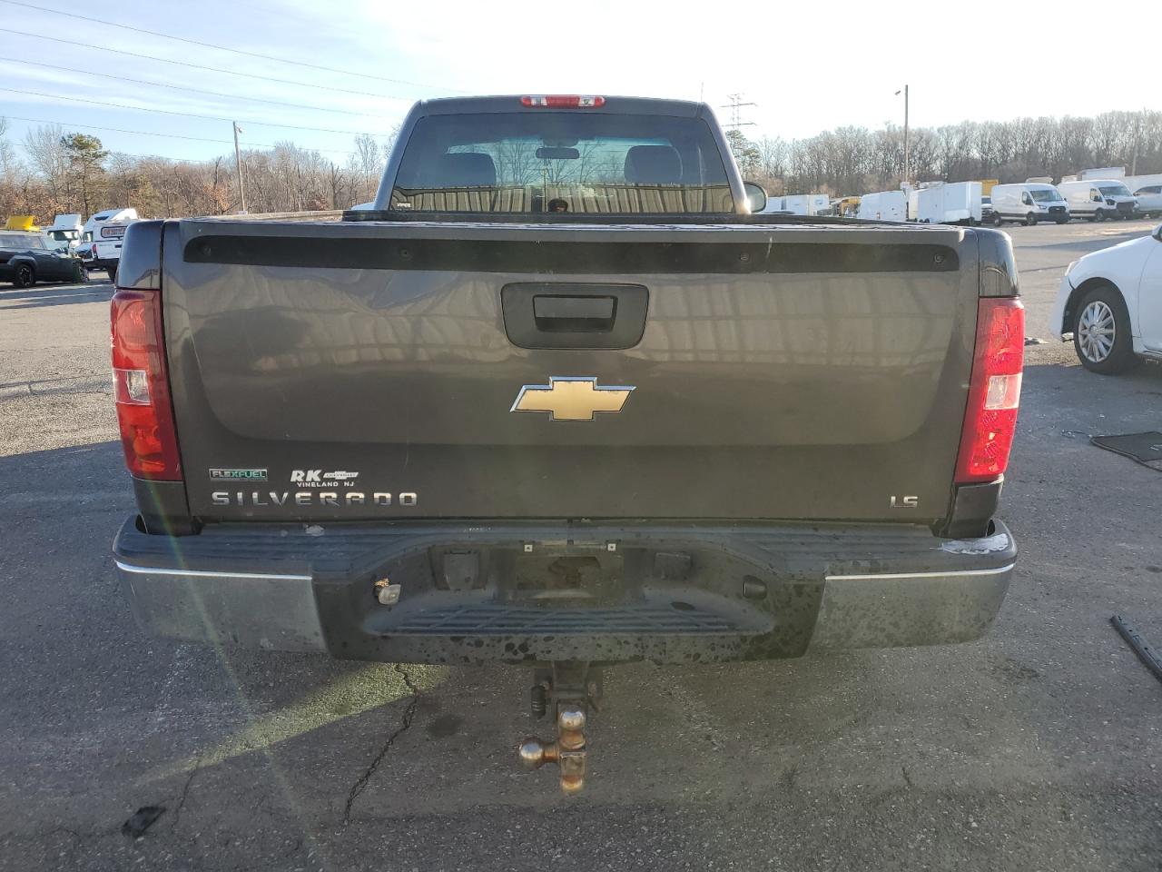 2010 Chevrolet Silverado C1500 VIN: 1GCPCPEA8AZ176873 Lot: 88058205