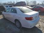 2010 Toyota Corolla Base zu verkaufen in Walton, KY - Front End