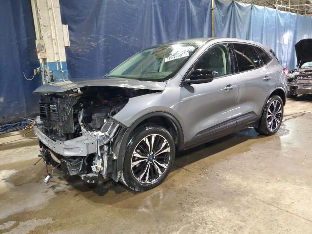  FORD ESCAPE 2022 Gray