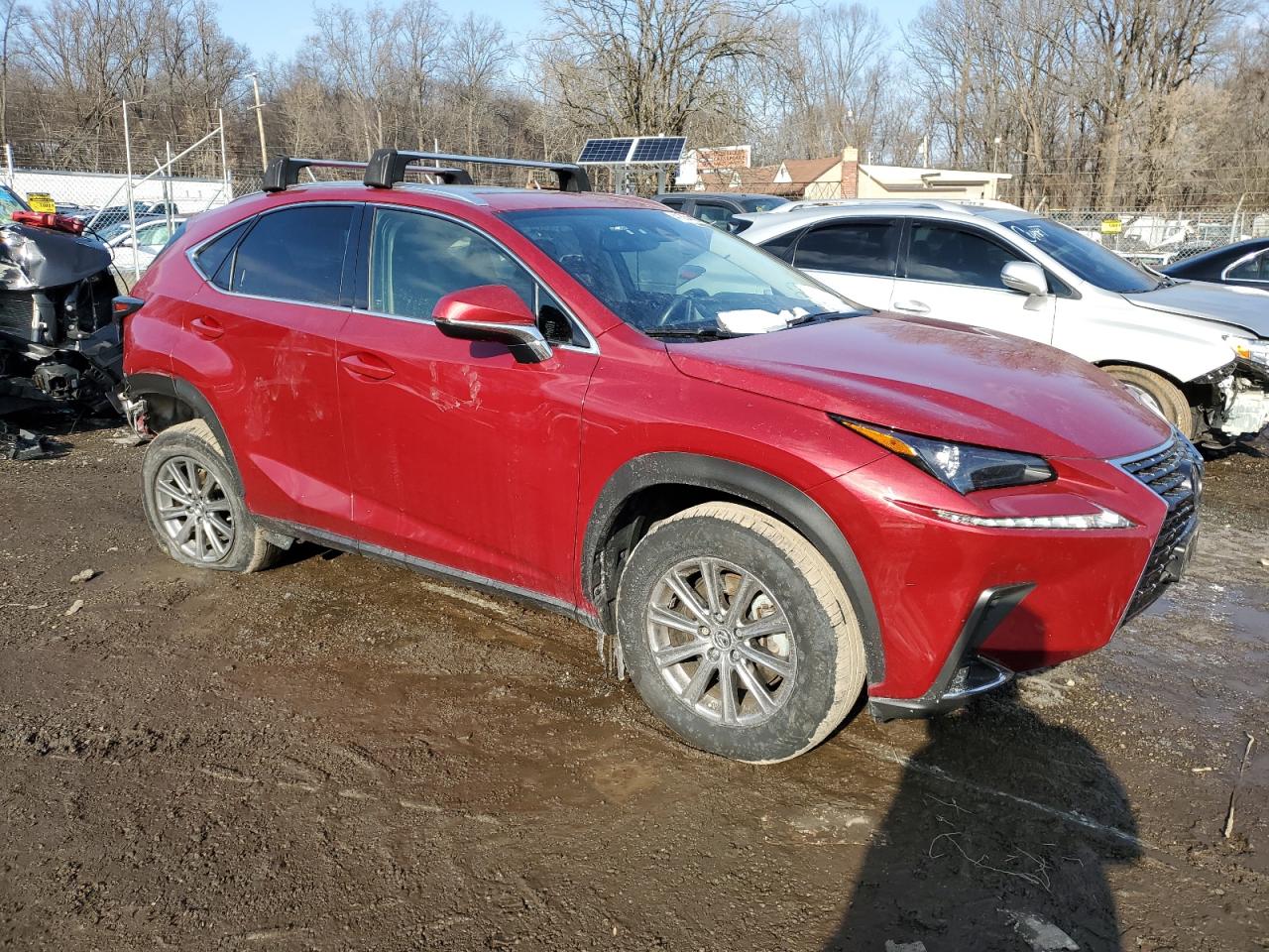 2021 Lexus NX - Image 4