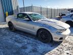 2010 FORD MUSTANG  for sale at Copart NS - HALIFAX