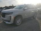 2023 Cadillac Escalade Premium Luxury zu verkaufen in Riverview, FL - Water/Flood