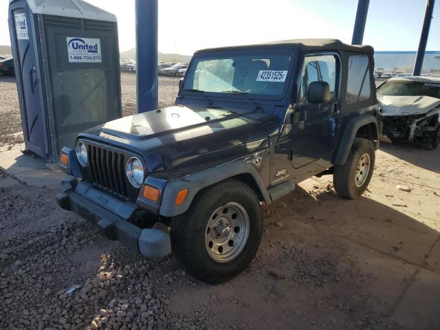 2004 Jeep Wrangler / Tj Se