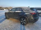 2020 LEXUS NX 300 LUXURY for sale at Copart ON - COOKSTOWN