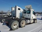 2020 Freightliner Cascadia 126  на продаже в Woodhaven, MI - Front End