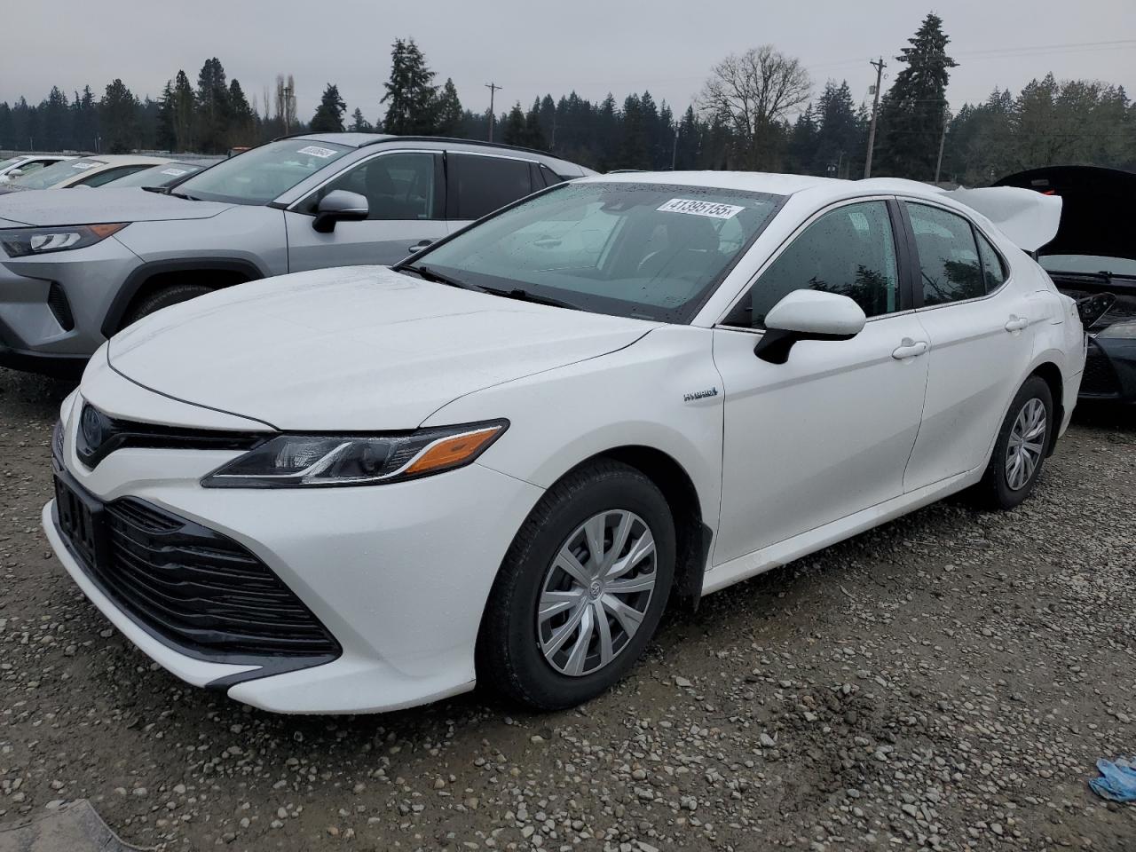 VIN 4T1B31HKXKU517390 2019 TOYOTA CAMRY no.1