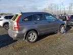 2010 Honda Cr-V Exl for Sale in Arlington, WA - Rear End