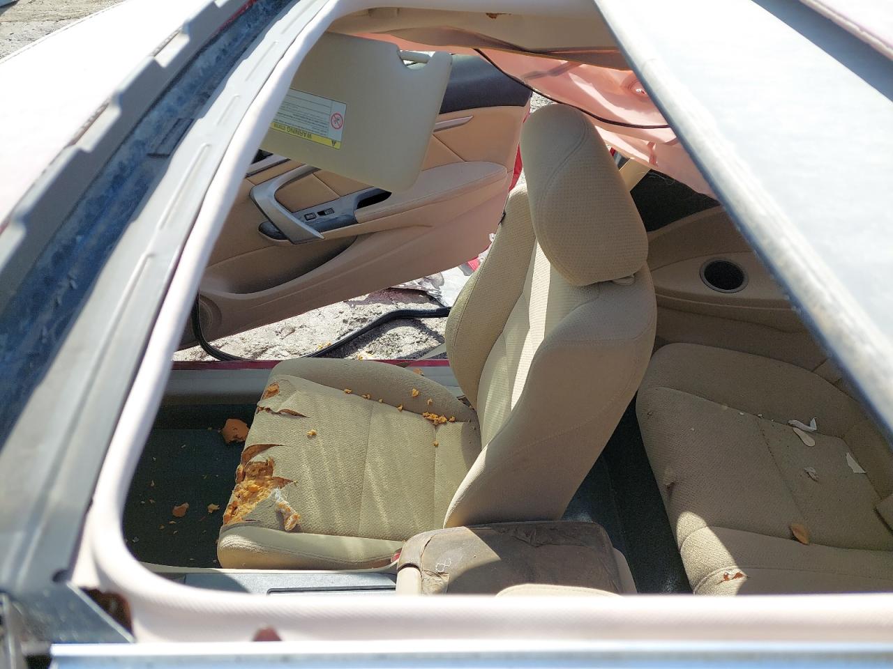 1HGCS1276CA600805 - 2012 Honda Accord - #42265205