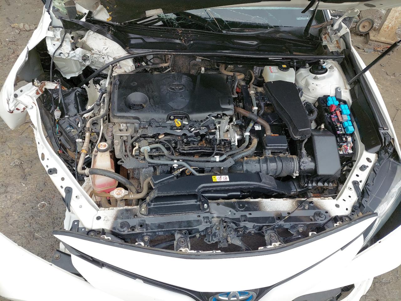 JTNB29HK3L3066411 - 2020 Toyota Camry - #undefined