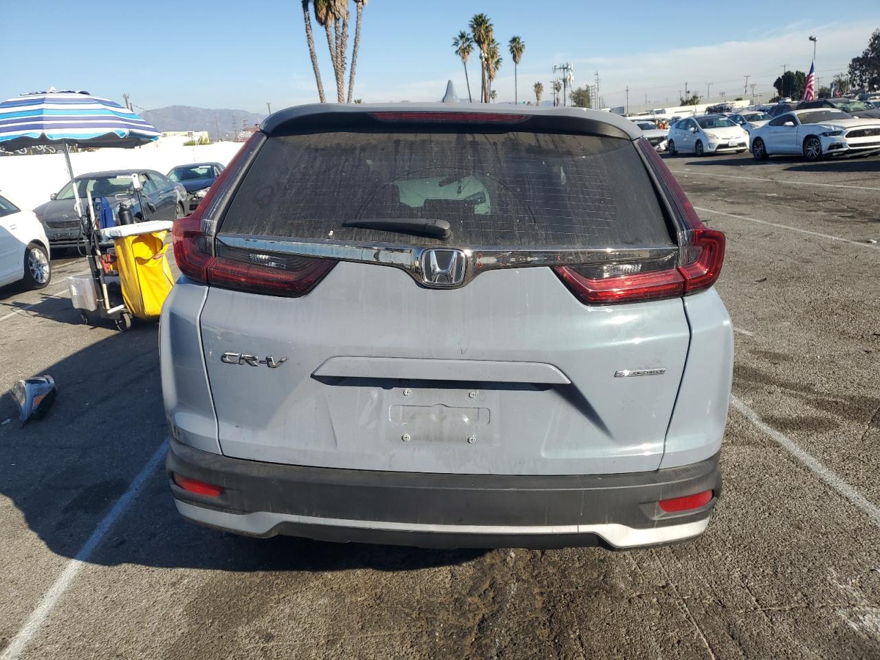 2022 Honda CR-V - Image 6