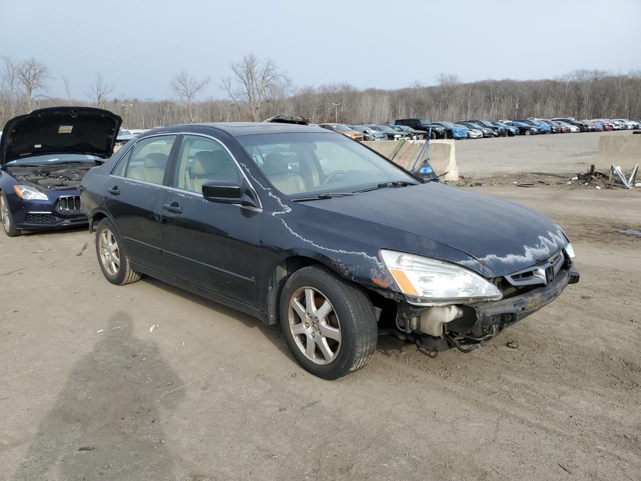 2005 Honda Accord - Image 4