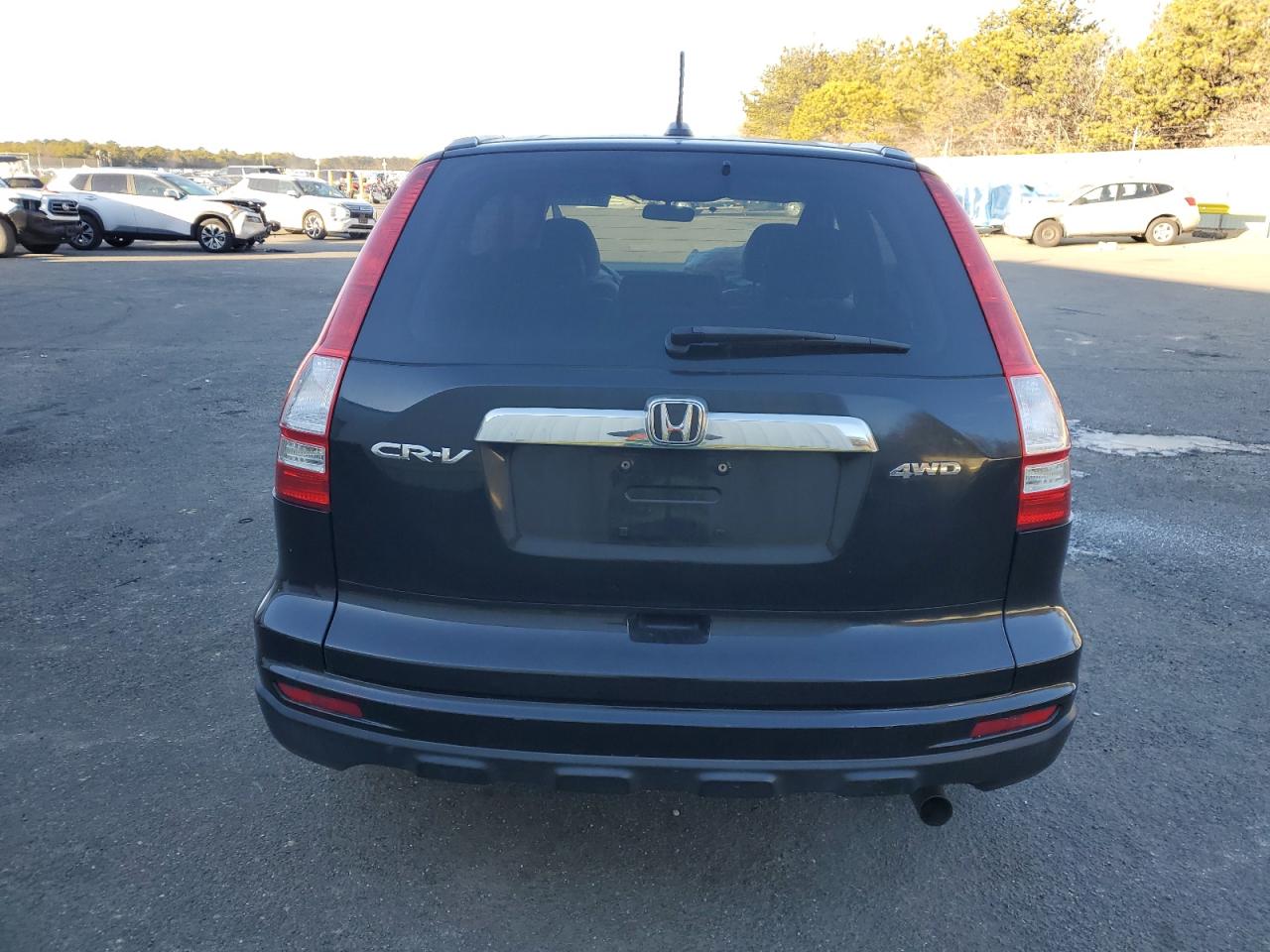 2010 Honda CR-V - Image 6