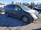 2009 Honda Odyssey Exl na sprzedaż w Pennsburg, PA - Front End