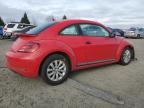 2018 Volkswagen Beetle S de vânzare în Eugene, OR - Front End